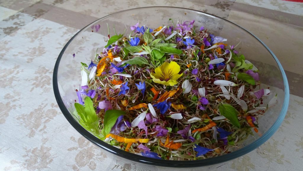 Salade fleurs Mahboob